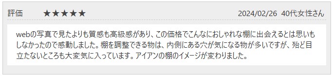 レビュー1