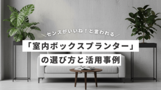 室内ボックスプランターアイキャッチ